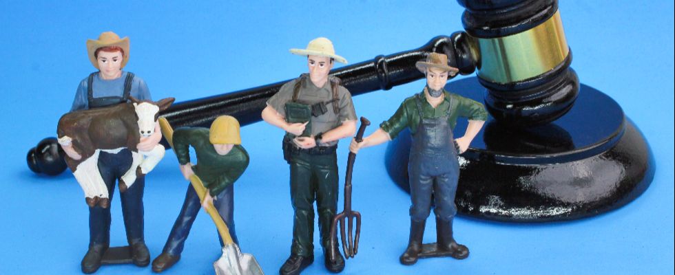 Bekar Consultores:&nbsp;Derecho laboral en Medellín: evita sanciones y gestiona tus obligaciones